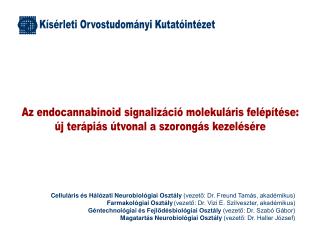 Az endocannabinoid signalizáció molekuláris felépítése: új terápiás útvonal a szorongás kezelésére