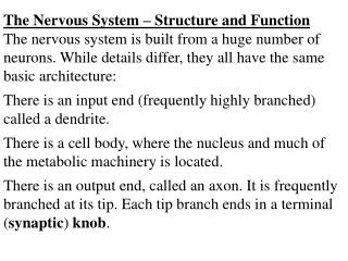 The Nervous System – Structure and Function