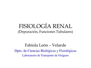 FISIOLOGÍA RENAL (Depuración, Funciones Tubulares)