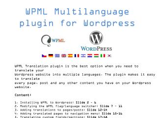 WPML Multilanguage plugin for Wordpress