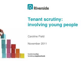 Tenant scrutiny: involving young people