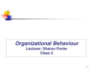 Organizational Behaviour Lecturer: Sharon Porter Class 2