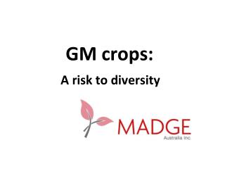 GM crops: