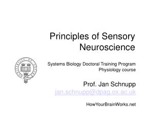 Principles of Sensory Neuroscience