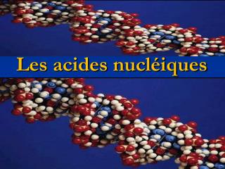 Les acides nucléiques