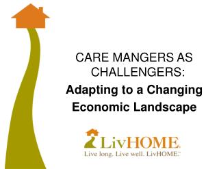 CARE MANGERS AS CHALLENGERS: Adapting to a Changing Economic Landscape