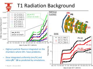 T1 Radiation Background