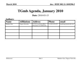 TGmb Agenda, January 2010