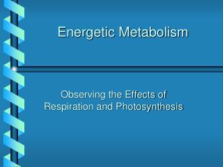 Energetic Metabolism