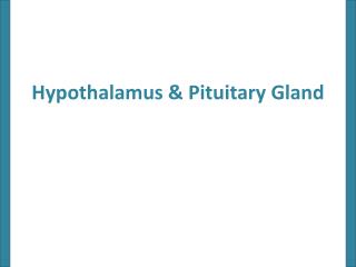 Hypothalamus &amp; Pituitary Gland