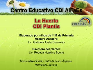 Centro Educativo CDI AlFaEs
