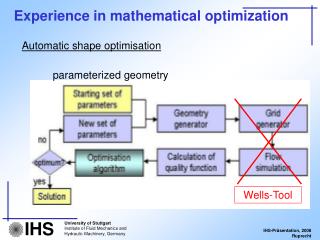 Experience in mathematical optimization