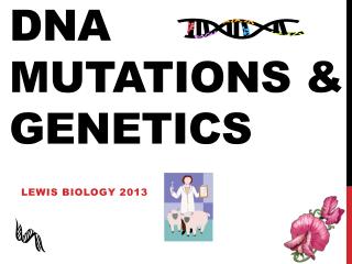 DNA Mutations &amp; Genetics