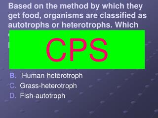 Mushroom-autotroph Human-heterotroph Grass-heterotroph Fish-autotroph