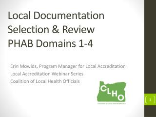 Local Documentation Selection &amp; Review PHAB Domains 1-4