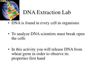DNA Extraction Lab