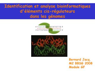 Identification et analyse bioinformatiques d'éléments cis-régulateurs dans les génomes