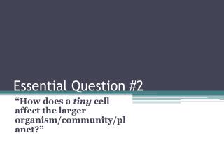 Essential Question #2
