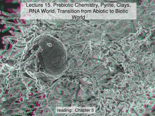 Lecture 15. Prebiotic Chemistry, Pyrite, Clays, RNA World, Transition from Abiotic to Biotic World