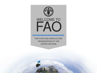 WELCOME TO FAO The Food and Agriculture Organization of the United Nations
