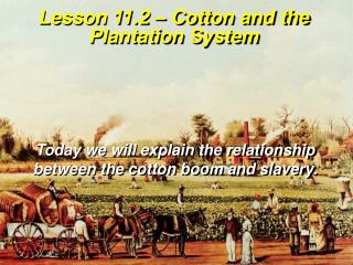Lesson 11.2 – Cotton and the Plantation System