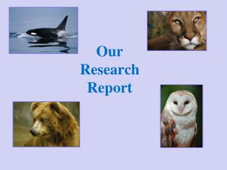 Our Research Report