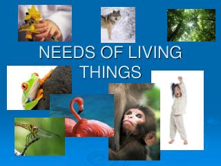 NEEDS OF LIVING THINGS