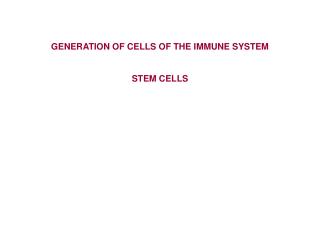 GENERATION OF CELLS OF THE IMMUNE SYSTEM STEM CELLS