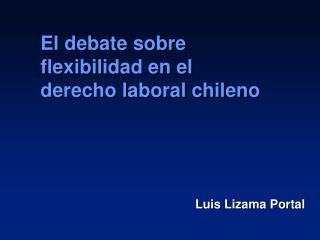 Luis Lizama Portal