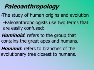 Paleoanthropology