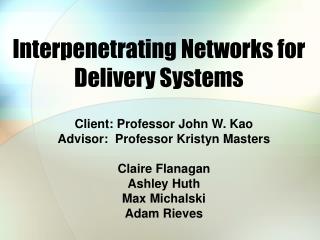 Interpenetrating Networks for Delivery Systems