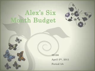 Alex’s Six Month Budget