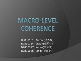 Macro-Level Coherence