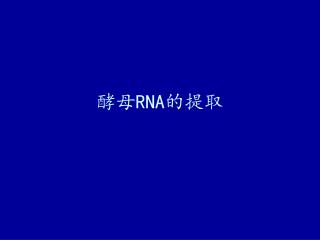 酵母 RNA 的提取