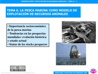 TEMA 6. LA PESCA MARINA COMO MODELO DE EXPLOTACIÓN DE RECURSOS ANIMALES
