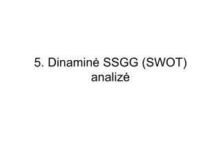 5. Dinaminė SSGG (SWOT) analizė