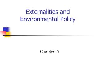 Externalities and Environmental Policy