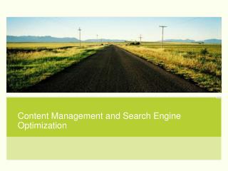 Content Management and Search Engine Optimization