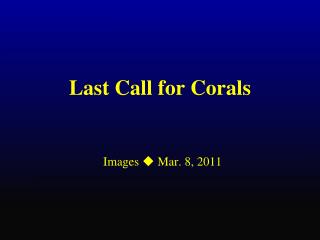 Last Call for Corals