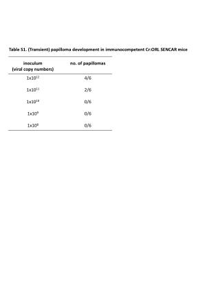 Table S1. (Transient) papilloma development in immunocompetent Cr:ORL SENCAR mice
