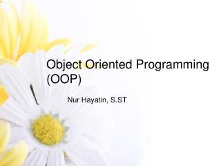 Object Oriented Programming (OOP)