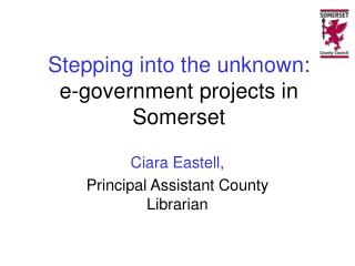 Stepping into the unknown: e-government projects in Somerset