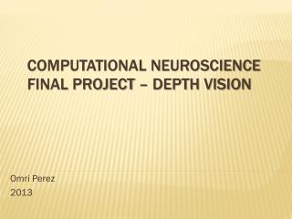 Computational Neuroscience Final Project – Depth Vision