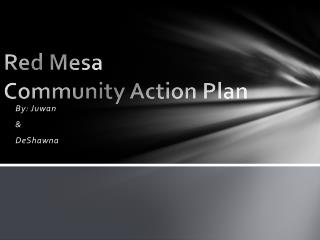 Red Mesa Community Action Plan