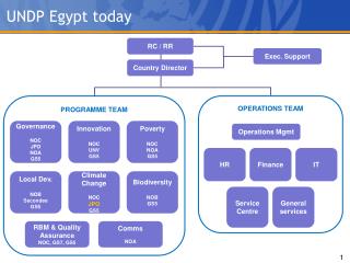 UNDP Egypt today