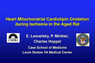 Heart Mitochondrial Cardiolipin Oxidation during Ischemia in the Aged Rat