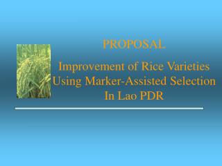 PROPOSAL Improvement of Rice Varieties Using Marker-Assisted Selection In Lao PDR