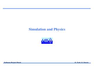 Simulation and Physics