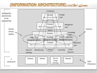 معماری اطلاعات (Information Architecture)