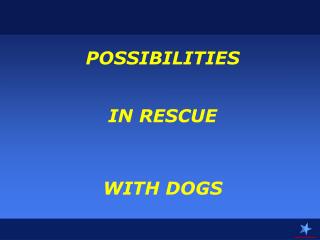 POSSIBILITIES IN RESCUE WITH DOGS